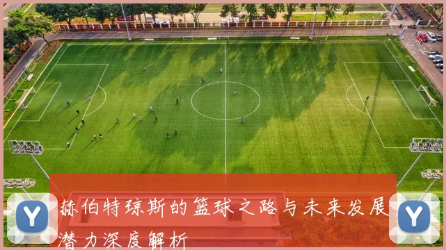 赫伯特琼斯的篮球之路与未来发展潜力深度解析